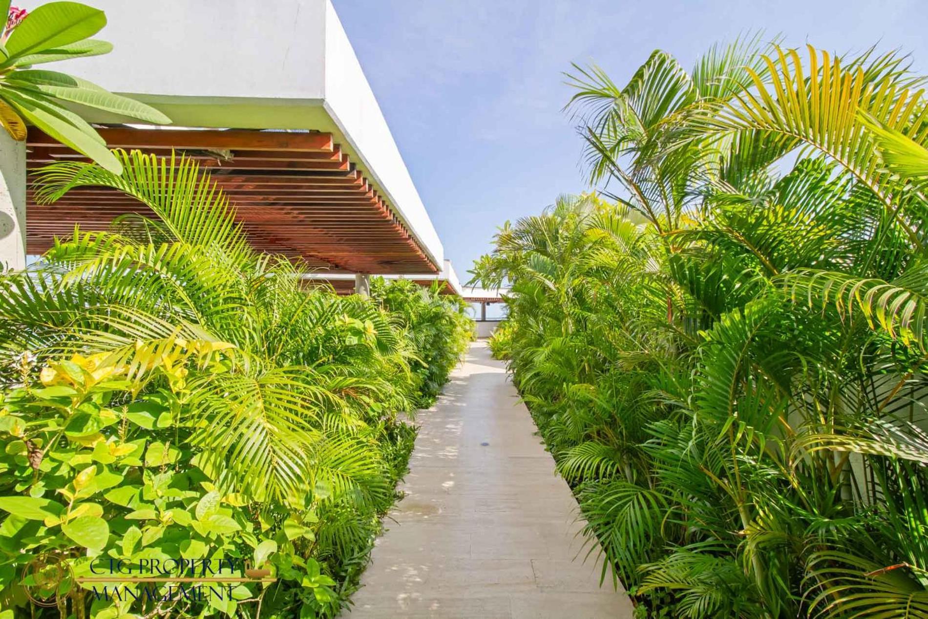 Martinique Cartagena - Apartamentos A Corta Caminata De Playa Azul 外观 照片